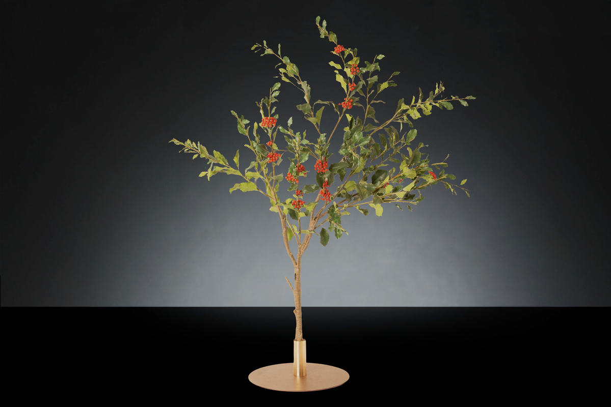 1700222185-1142949.37 HOLLY PLANT_2LOW